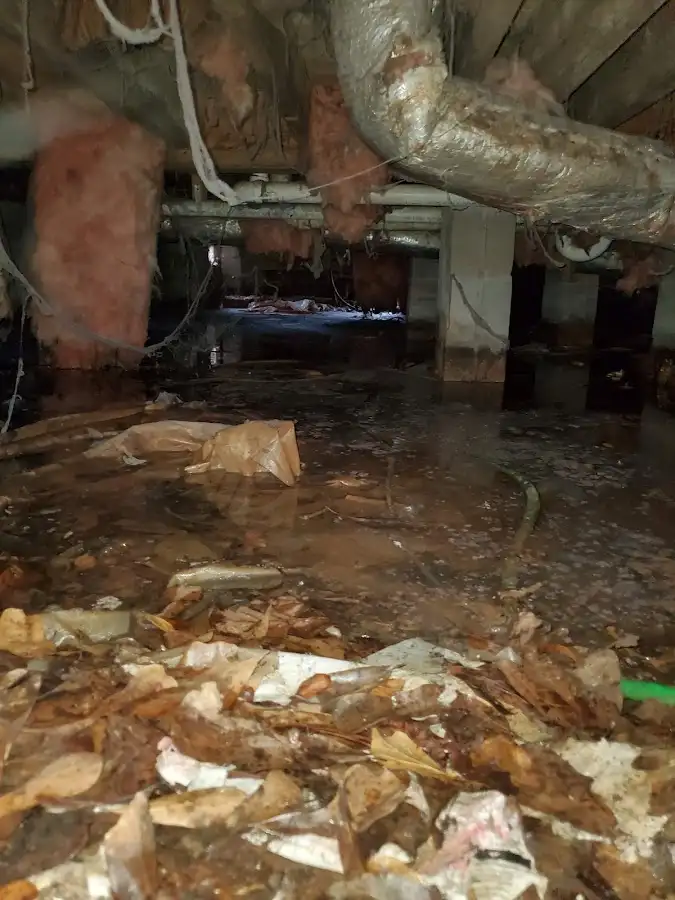 Crawl space flood assessment for Leak Detection & Repair in Imperial